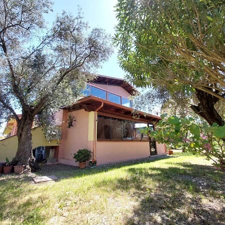 Appartement Casa L' Antico Ulivo à Iglesias Extérieur photo