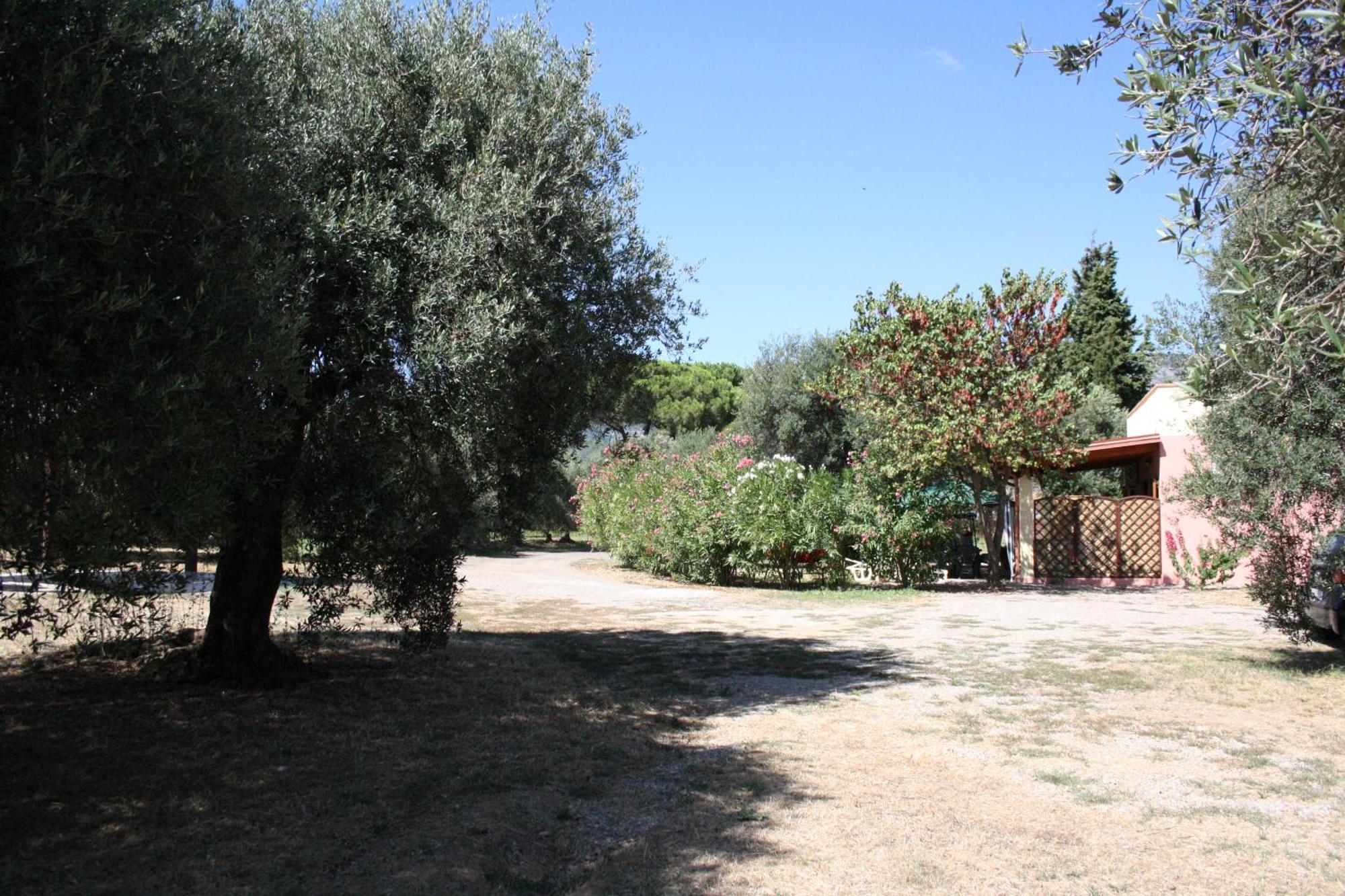 Appartement Casa L' Antico Ulivo à Iglesias Extérieur photo