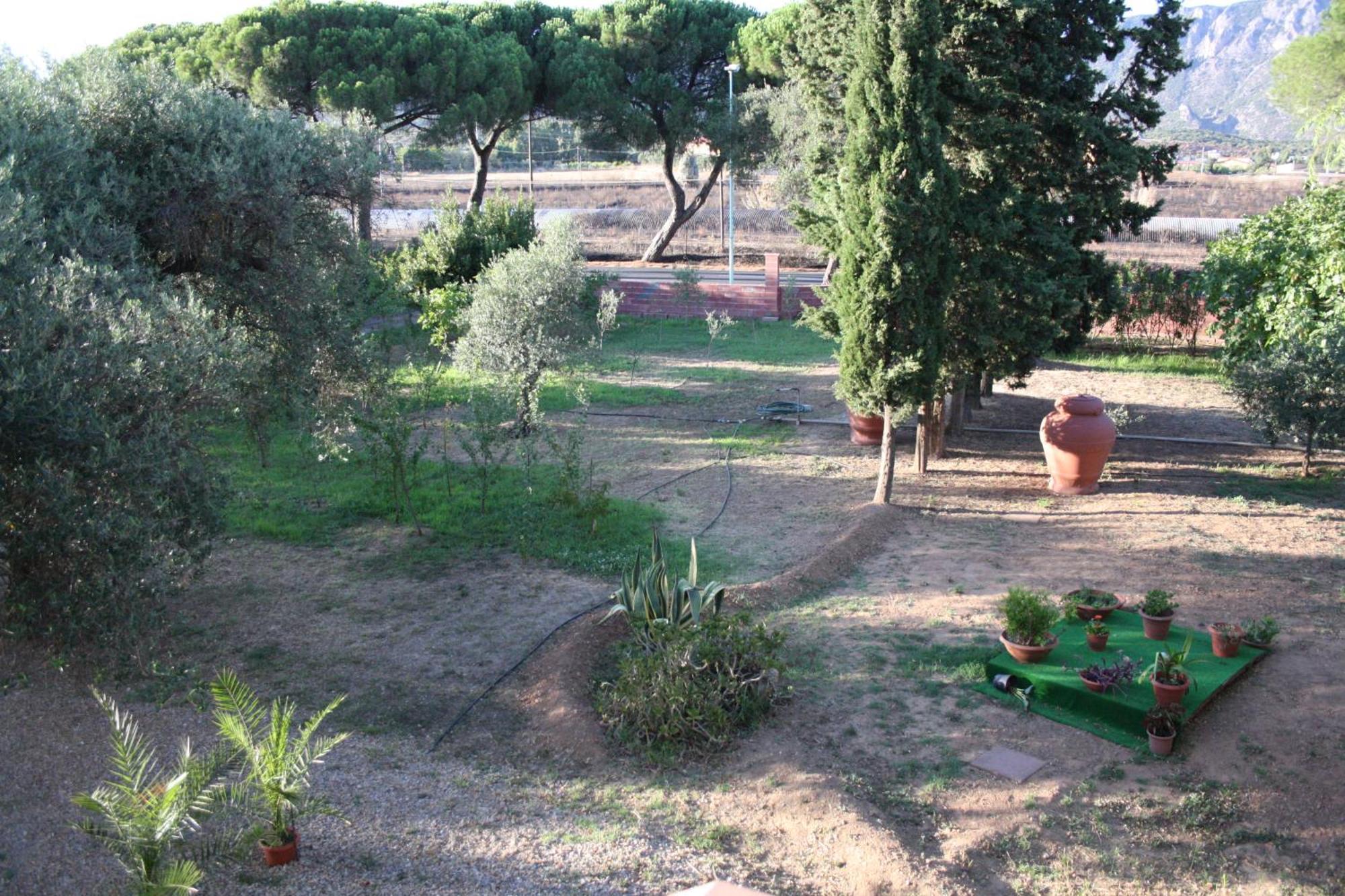 Appartement Casa L' Antico Ulivo à Iglesias Extérieur photo