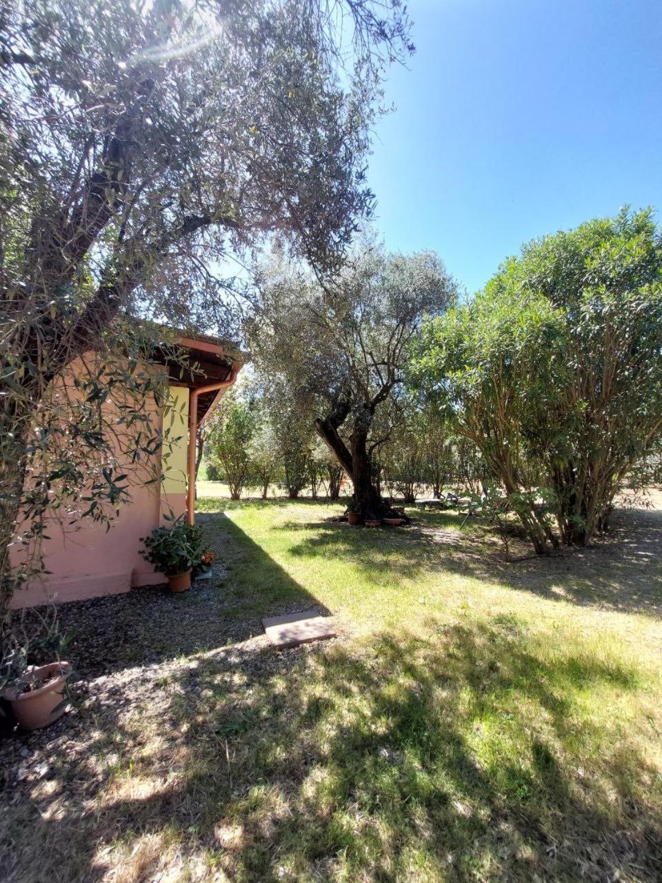 Appartement Casa L' Antico Ulivo à Iglesias Extérieur photo