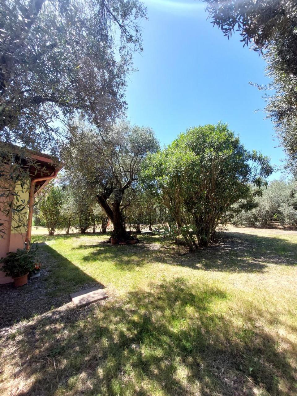 Appartement Casa L' Antico Ulivo à Iglesias Extérieur photo